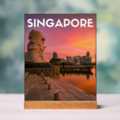 Singapore Acryl Bord (Neutraal)