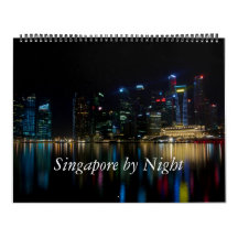 Singapore bij nacht