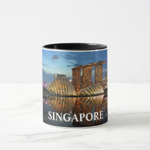 Singapore Custom Panorama Cup Mok