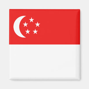 Singapore Flag Magnet Magneet