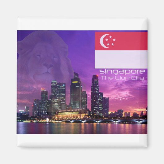 Singapore Magneet (Voorkant)