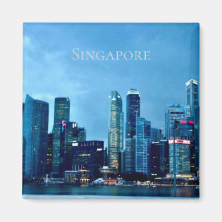 Singapore Magnet  Magneet