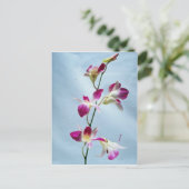 Singapore orchidebloemen briefkaart (Staand voorkant)