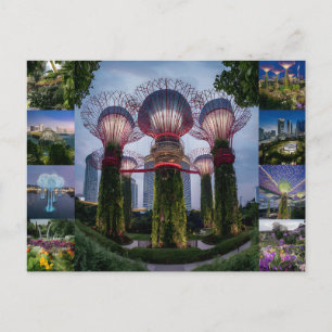 Singapore reizen Super bomen. Briefkaart