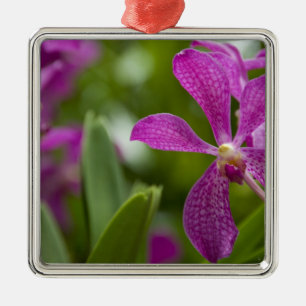 Singapore Sanskrit voor Lion City). Nationaal Metalen Ornament