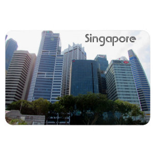 singapore - stad magneet
