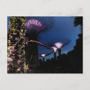 Singapore tuinen door Briefkaart #2 baai
