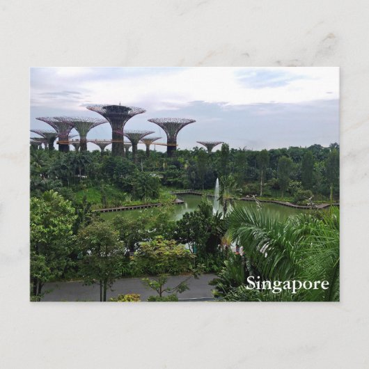 Singapore tuinen van de baai briefkaart (Voorkant)