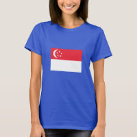 Singaporese vlag