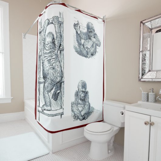 Singe Autour Du Rideau De Douche Pour Jeune Gorill (En situation)