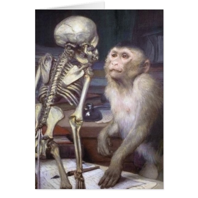 Singe Avant Squelette (Devant)