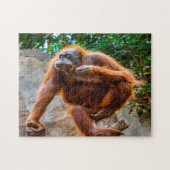 Singe Chimpanzé. Jigsaw Puzzle (Horizontal)