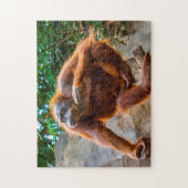 Singe Chimpanzé. Jigsaw Puzzle (Vertical)