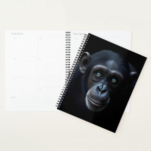 Singe Chimpanzé Noir