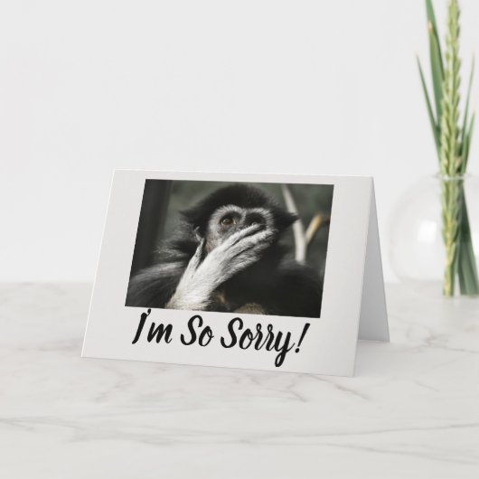 SINGE CHOQUÉ, CARTE DE VOEUX SURPRISE (Devant)