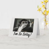 SINGE CHOQUÉ, CARTE DE VOEUX SURPRISE (Fleur jaune)