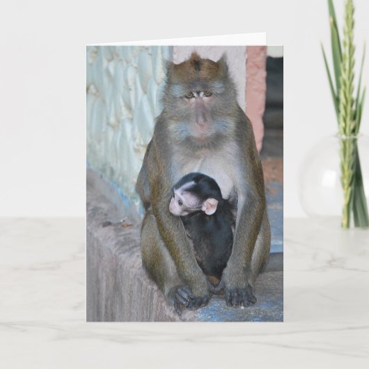 Singe de Macaque de carte de note et bébé - Subic (Devant)