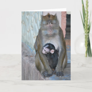 Singe de Macaque de carte de note et bébé - Subic