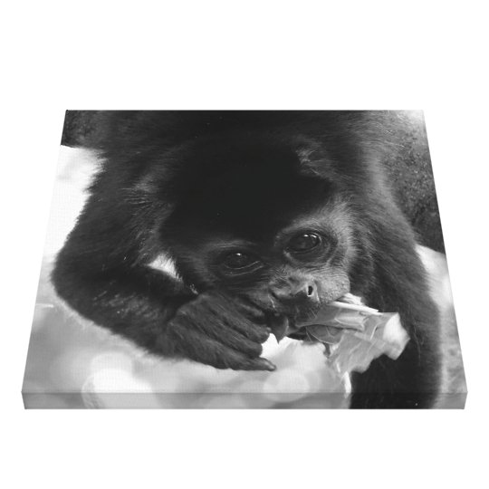 Singe d'hurleur toile