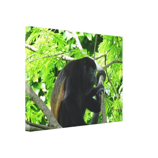 Singe d'hurleur toile