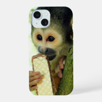 Singe écureuil mangeant un biscuit gaufrette
