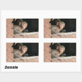 Singe effrayé avec gros yeux autocollant rectangul (Feuille)