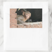 Singe effrayé avec gros yeux autocollant rectangul (Sac)