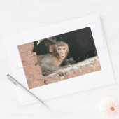 Singe effrayé avec gros yeux autocollant rectangul (Enveloppe)