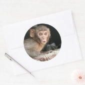 Singe effrayé avec gros yeux autocollant rond (Enveloppe)