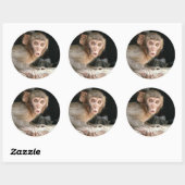 Singe effrayé avec gros yeux autocollant rond (Feuille)