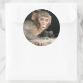 Singe effrayé avec gros yeux autocollant rond (Sac)