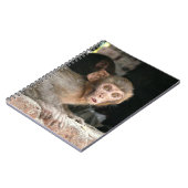 Singe effrayé avec le grand carnet de yeux (Côté gauche)