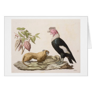 Singe et condor de lion, indigènes au Chili ou en