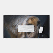 Singe hurleur (Clavier et souris)
