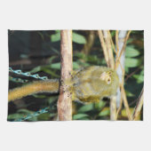 Singe Marmoset Assis Sur Une Branche, Serviette De (Horizontal)