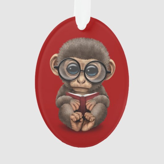 Singe mignon de bébé lisant un livre sur le rouge (dos)