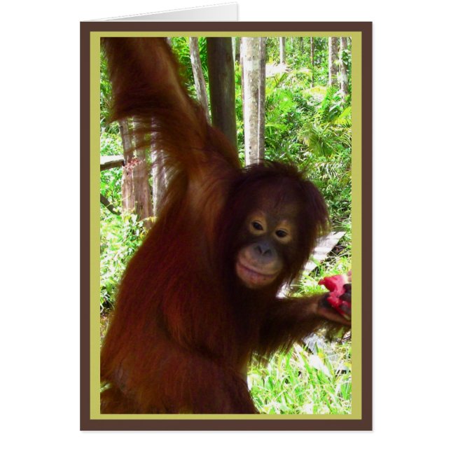 Singe pour la pastèque (Devant)