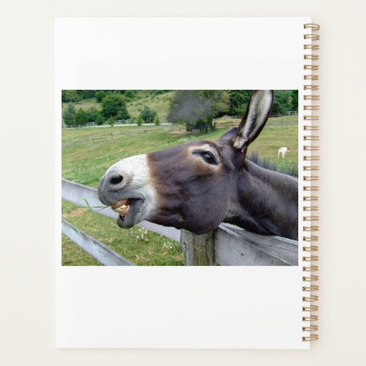 Singe souriant dans un pâturage personnalisable (Dos)