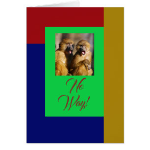 Singes choqués, carte rouge, bleue, verte et or