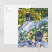 Singes de Langur Noir Manger, Carte Postale (Devant / Derrière)