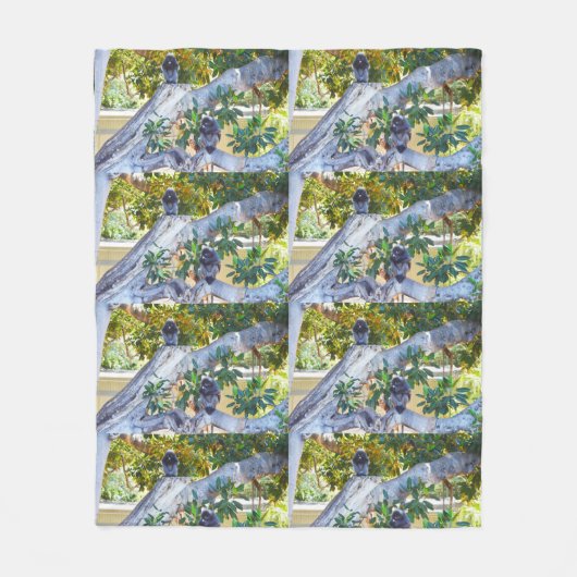 Singes de Langur Noir Manger, Couverture de polair (Devant)