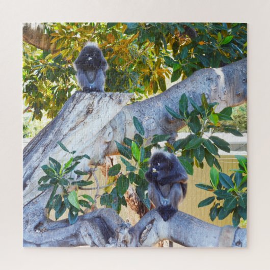 Singes de Langur Noir Manger, Puzzle (Vertical)