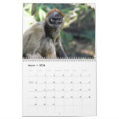 Singes et singes du monde Calendrier 2016 (Mar 2026)