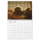 Singes et singes du monde Calendrier 2016 (Feb 2026)