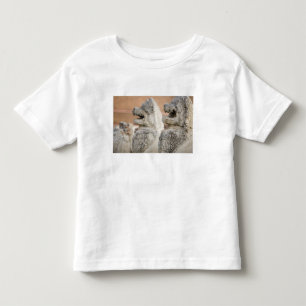 Singhat Wat Thammikarat 2 Kinder Shirts