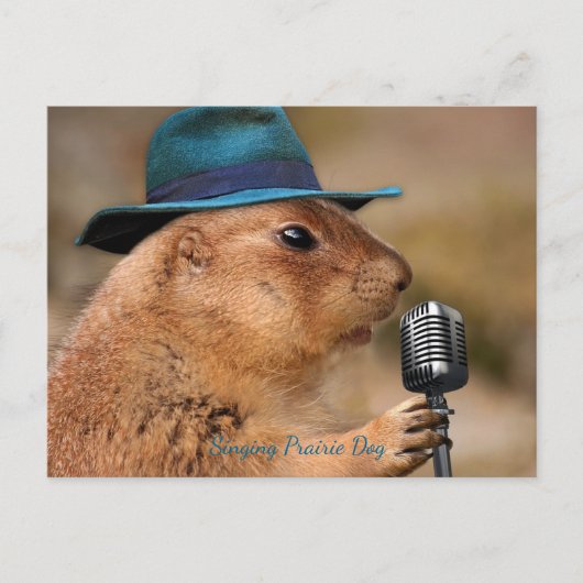 Singing Prairie Dog Briefkaart (Voorkant)