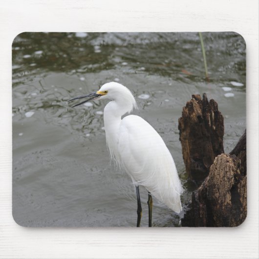 Singing Snowy Egret Muismat (Voorkant)