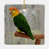 Singing White Bellied Caique Parrot Keramisch Ornament (Achterkant)