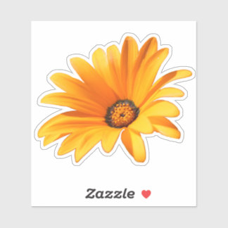 Single Bright Sinaasappel Cape Daisy Sticker