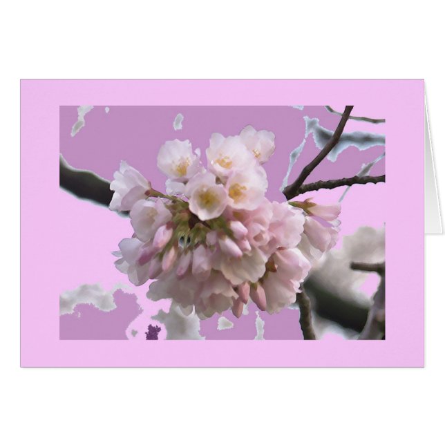 Single Cherry Blossom (Voorkant Horizontaal)